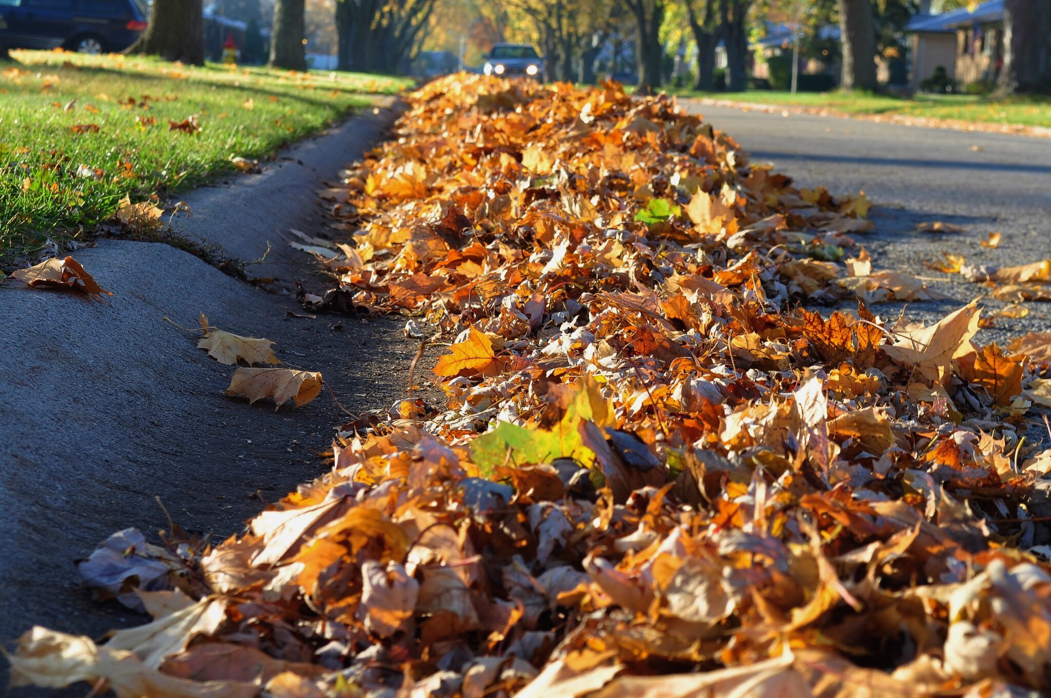 Heap of leaves along the street curb. Heap of leaves along the street curb.