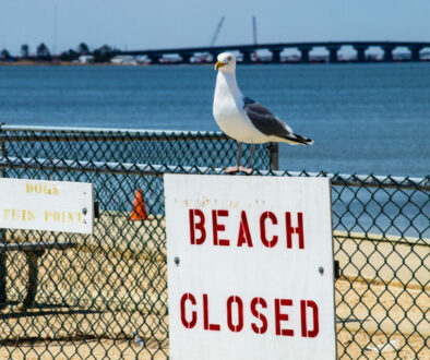 Beach Closed Sign