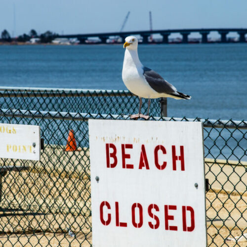 Beach Closed Sign